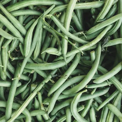 Beans