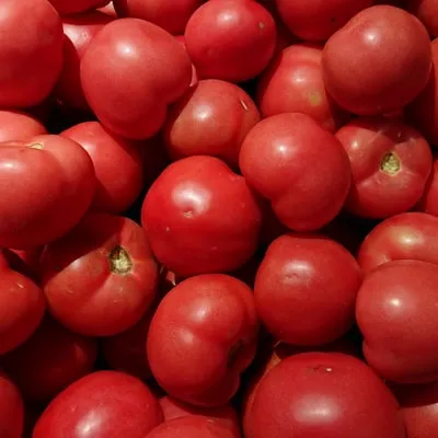 Tomatoes